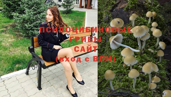 винт Зерноград