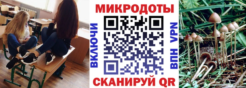 Галлюциногенные грибы Magic Shrooms  Красный Холм 